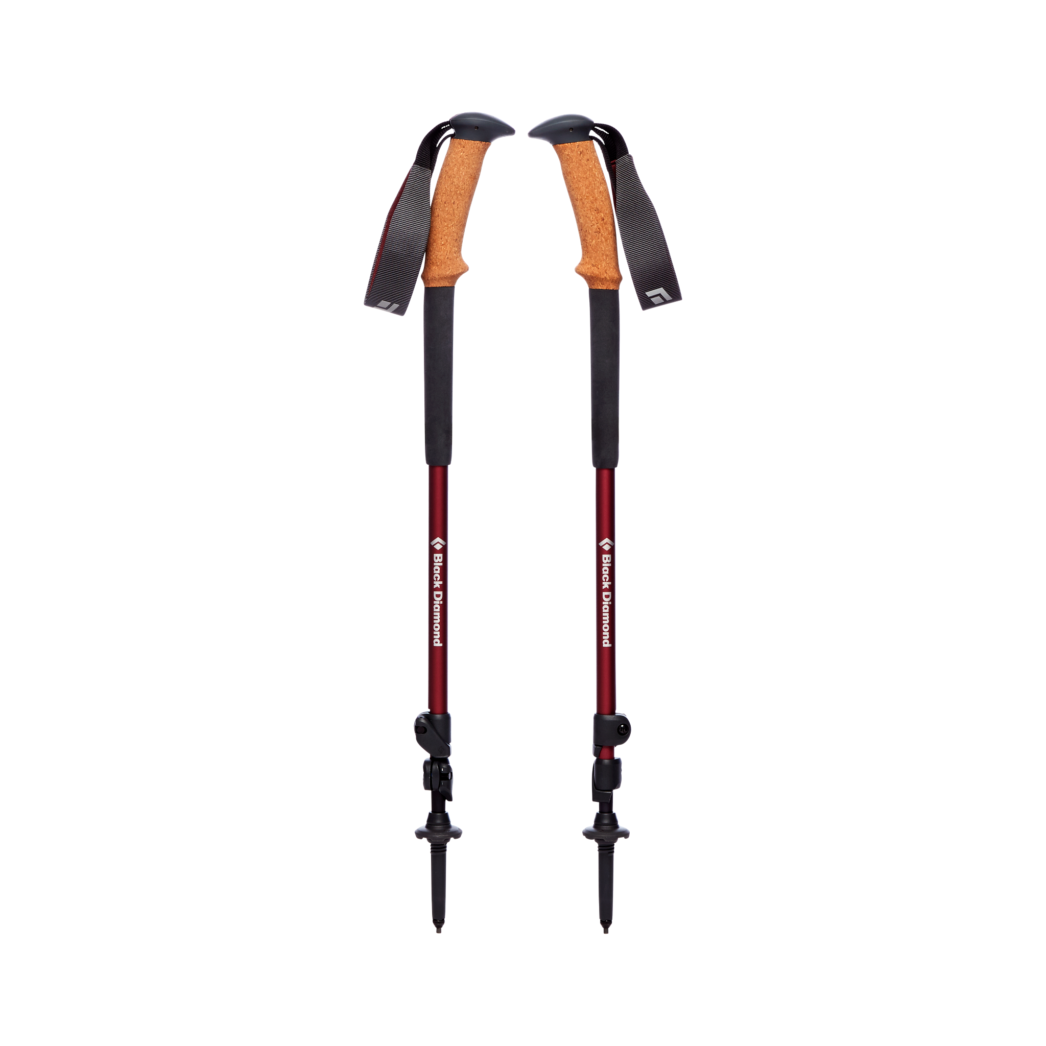 Trail Ergo Cork Trekking Poles - Women's