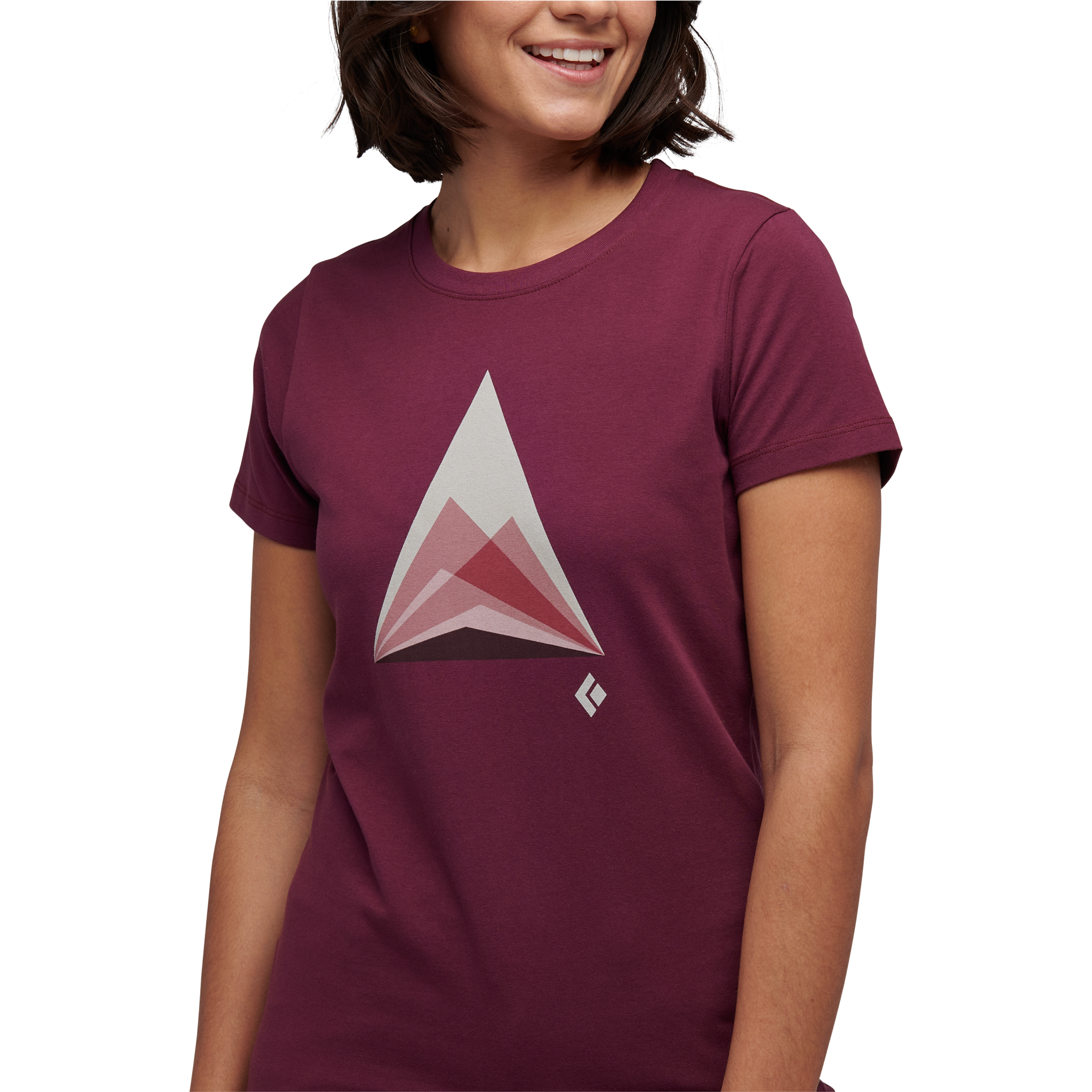 Mountain Transparency T-Shirt