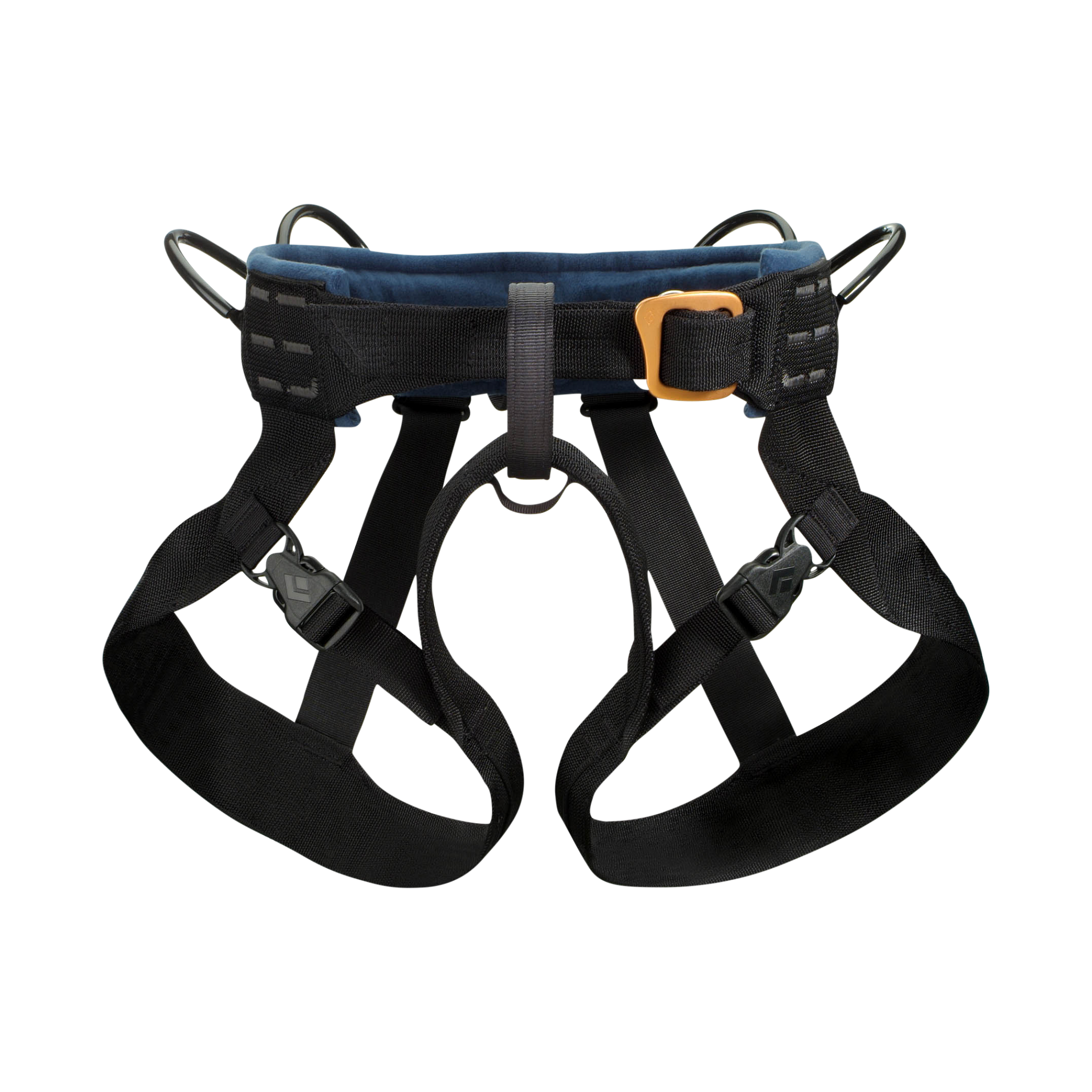 Bod Harness