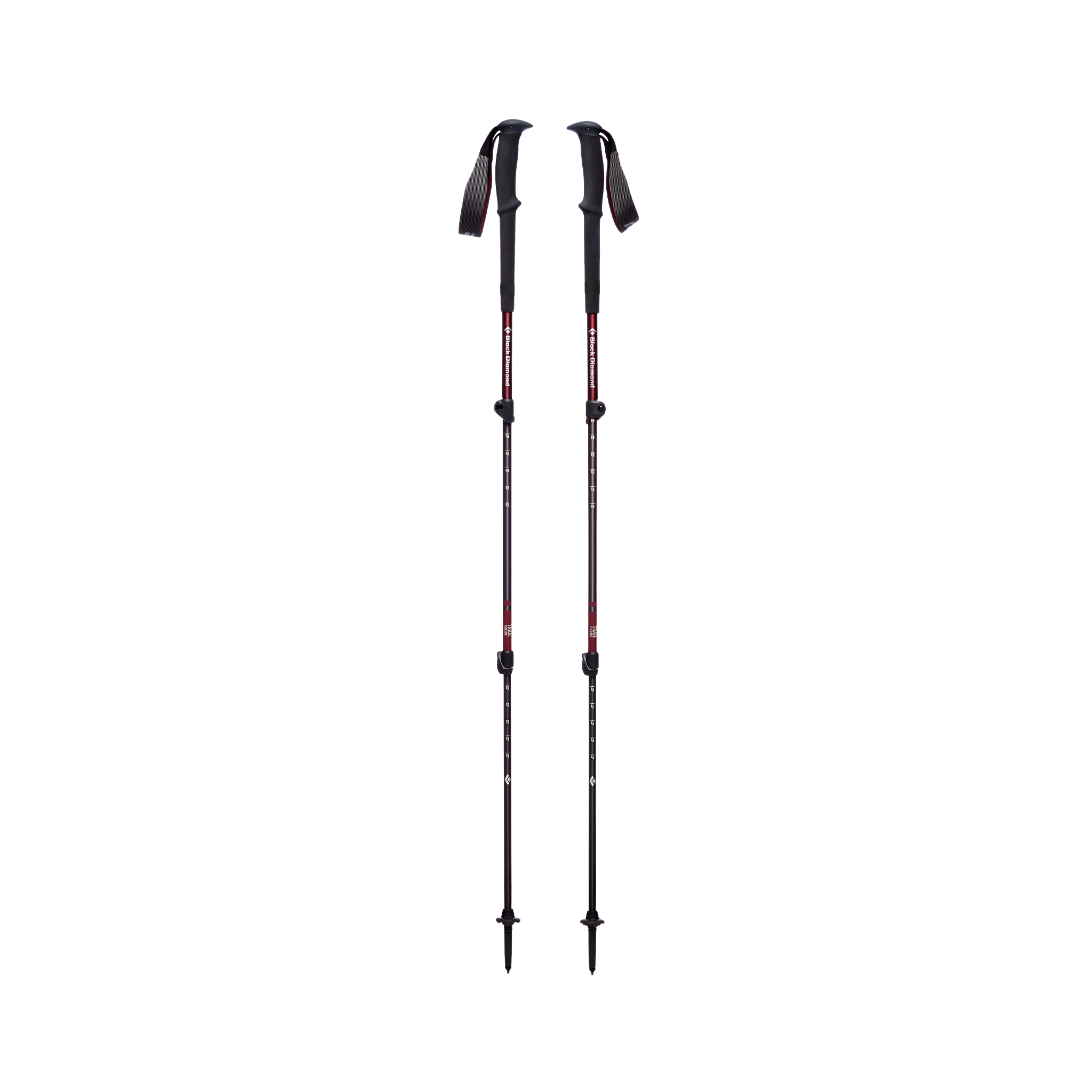 Trail Trekking Poles - Women's