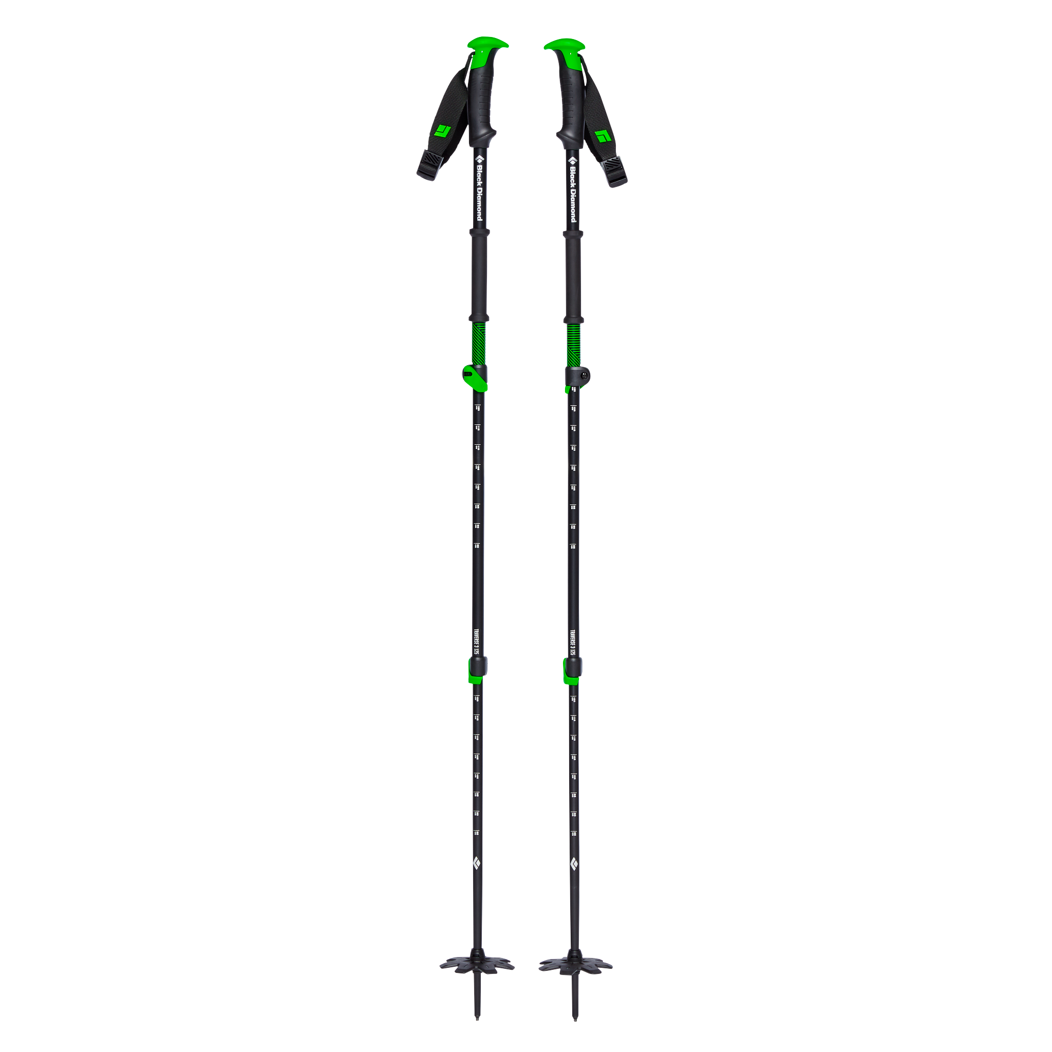 Traverse 3 Ski Poles
